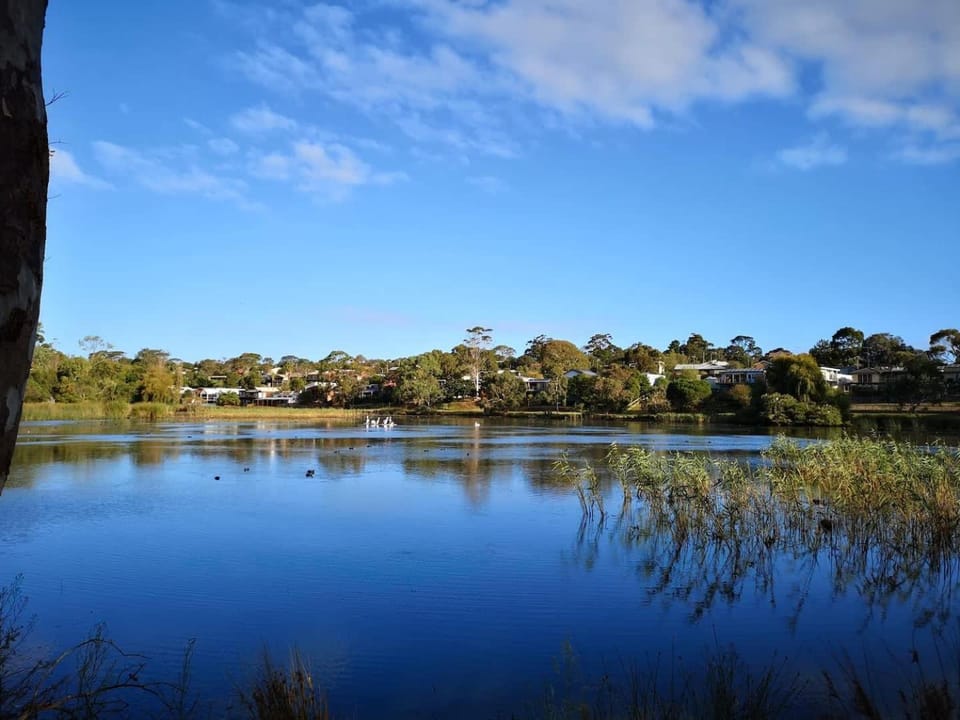 Lake view