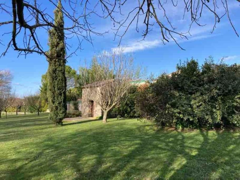Spring, Natural landscape, Garden, Garden view, Landmark view