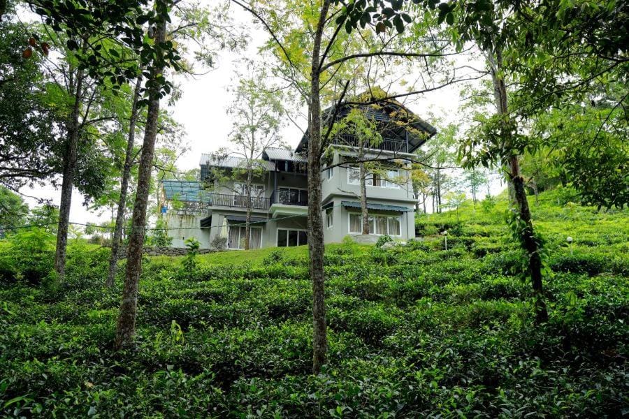 STREAMVIEWS@pan Villa in Kerala