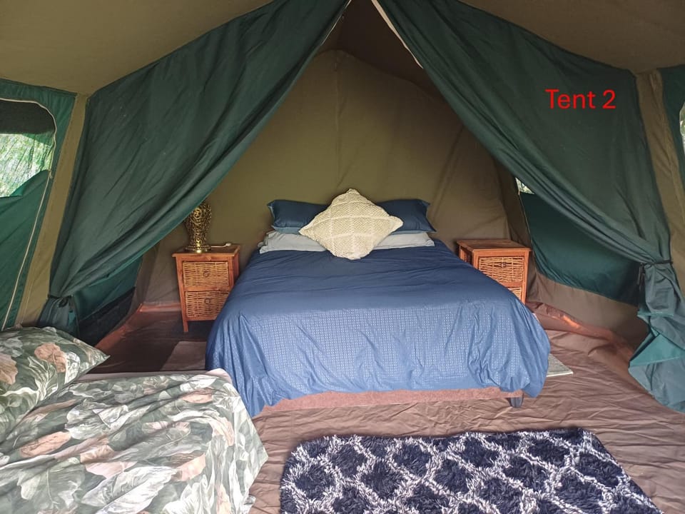 Bed, Photo of the whole room, Bedroom, pet friendly, pet friendly, wardrobe