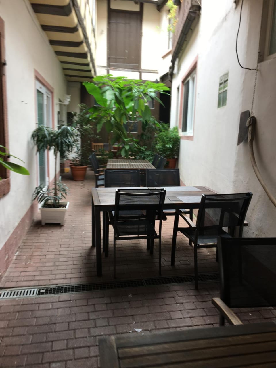 Patio, Dining area