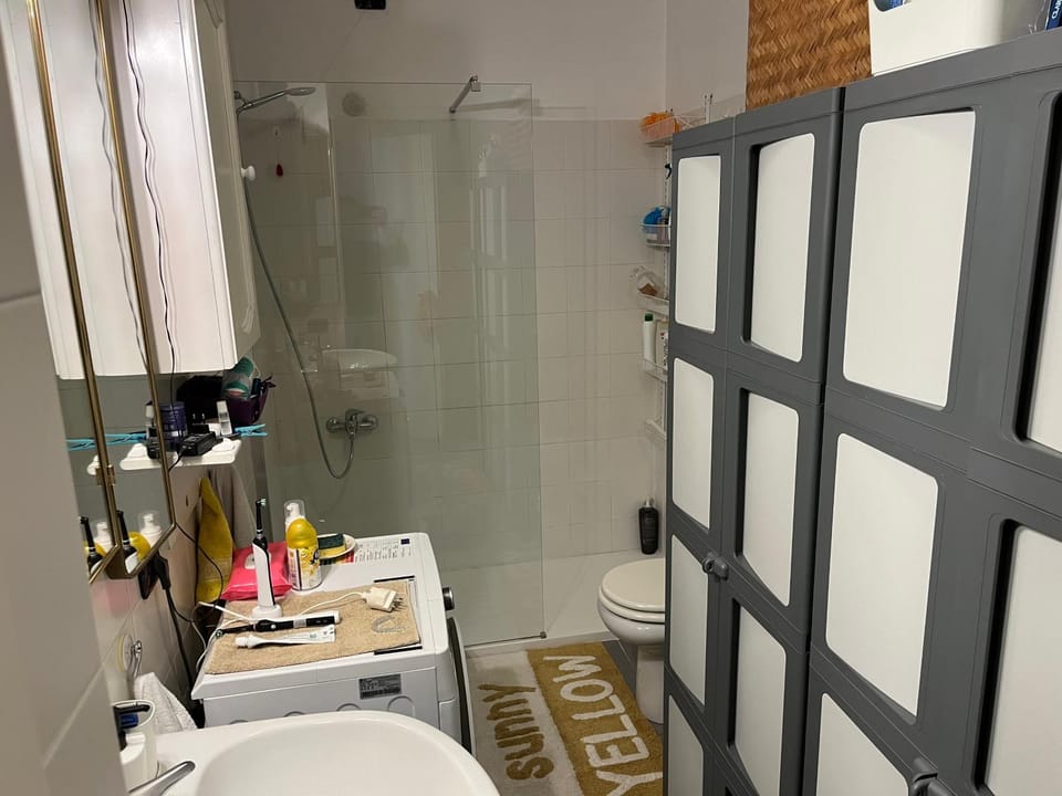 Shower, Toilet, Bathroom, towels