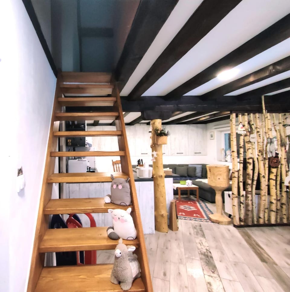 Praška zima Apartment in Bosnia and Herzegovina
