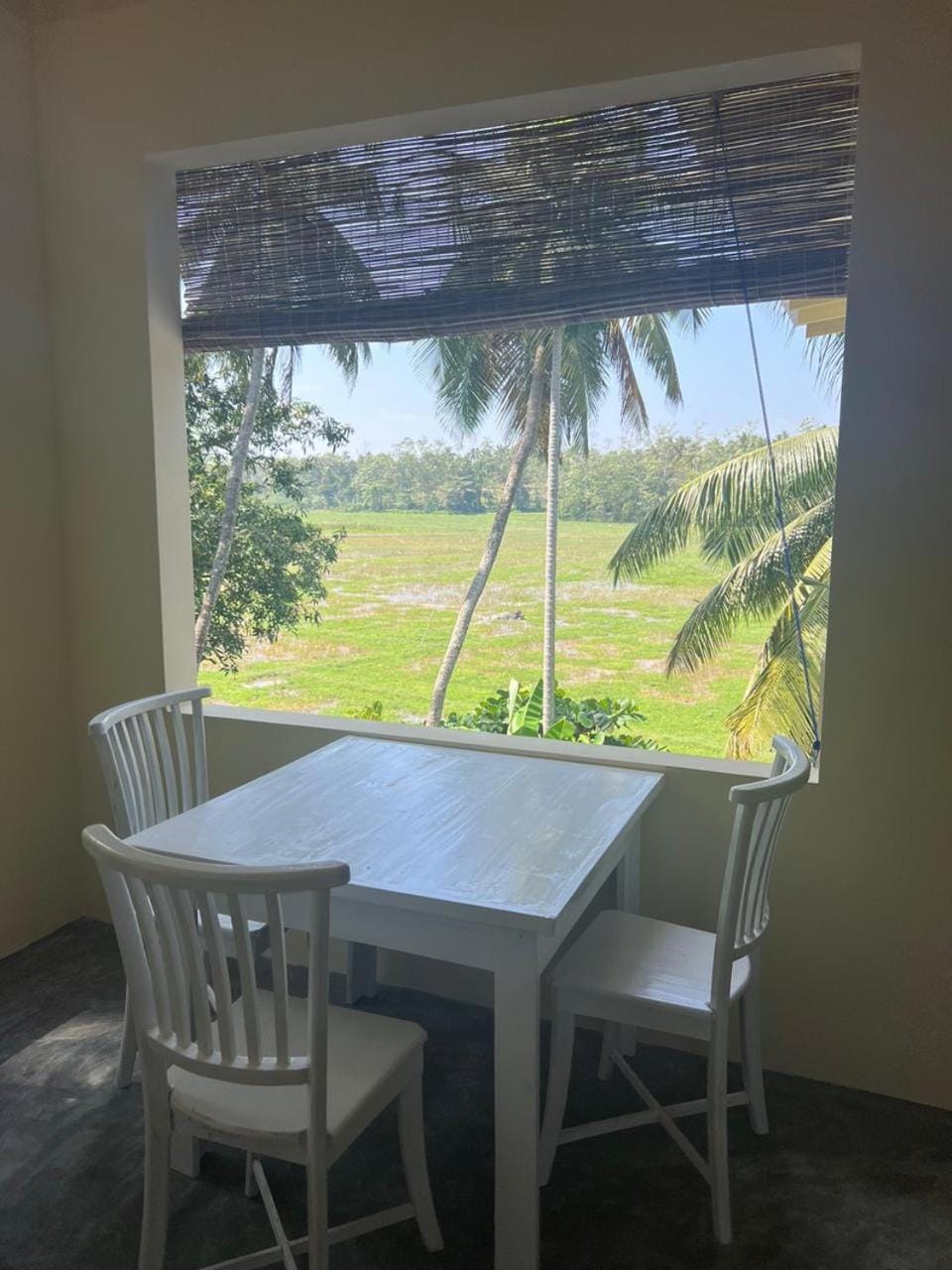 Natural landscape, Garden view