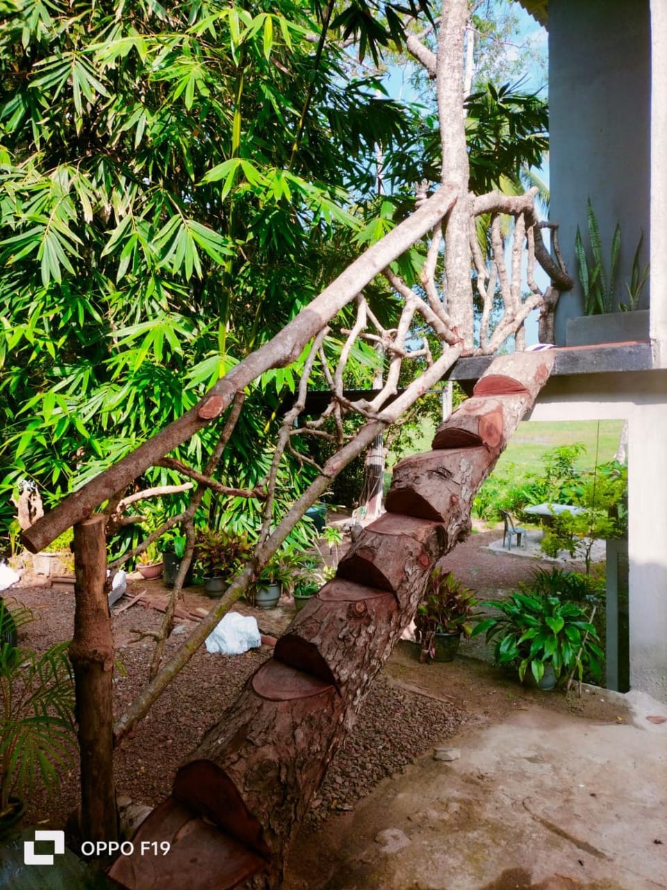 Garden view