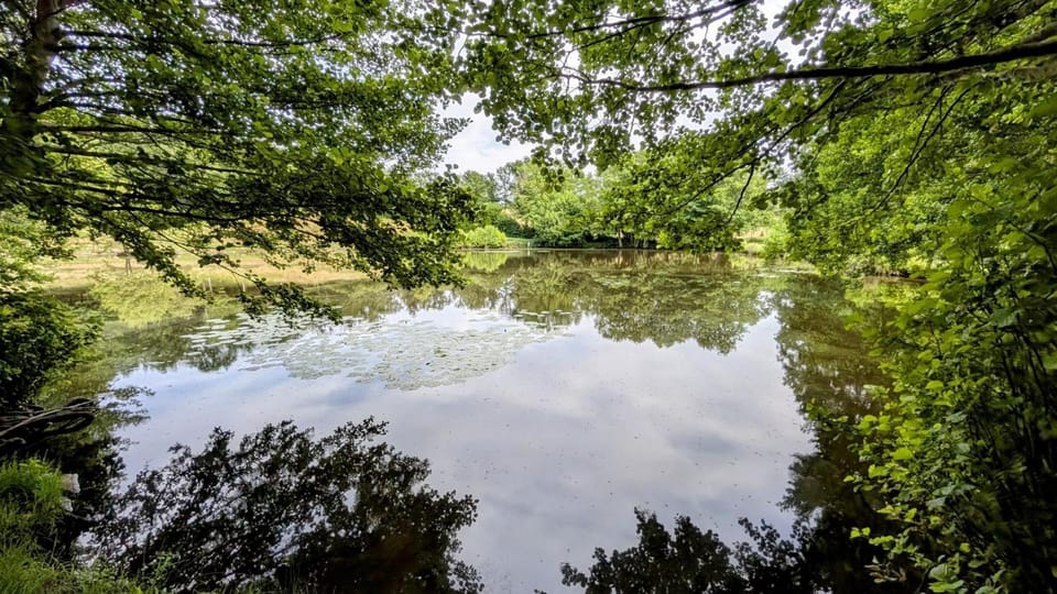 River view