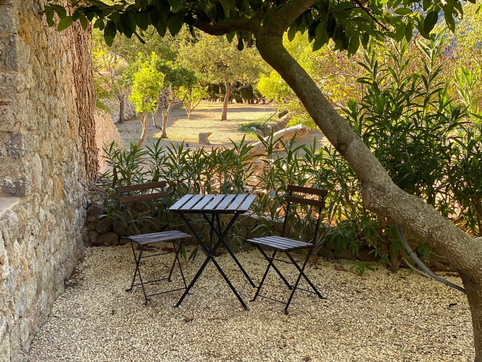 Garden view