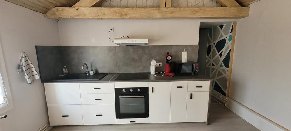 Kitchen or kitchenette, minibar, pet friendly, stove