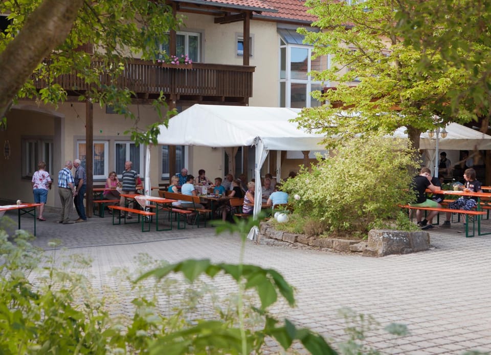 Patio, Restaurant/places to eat, Spring, People, Garden, group of guests