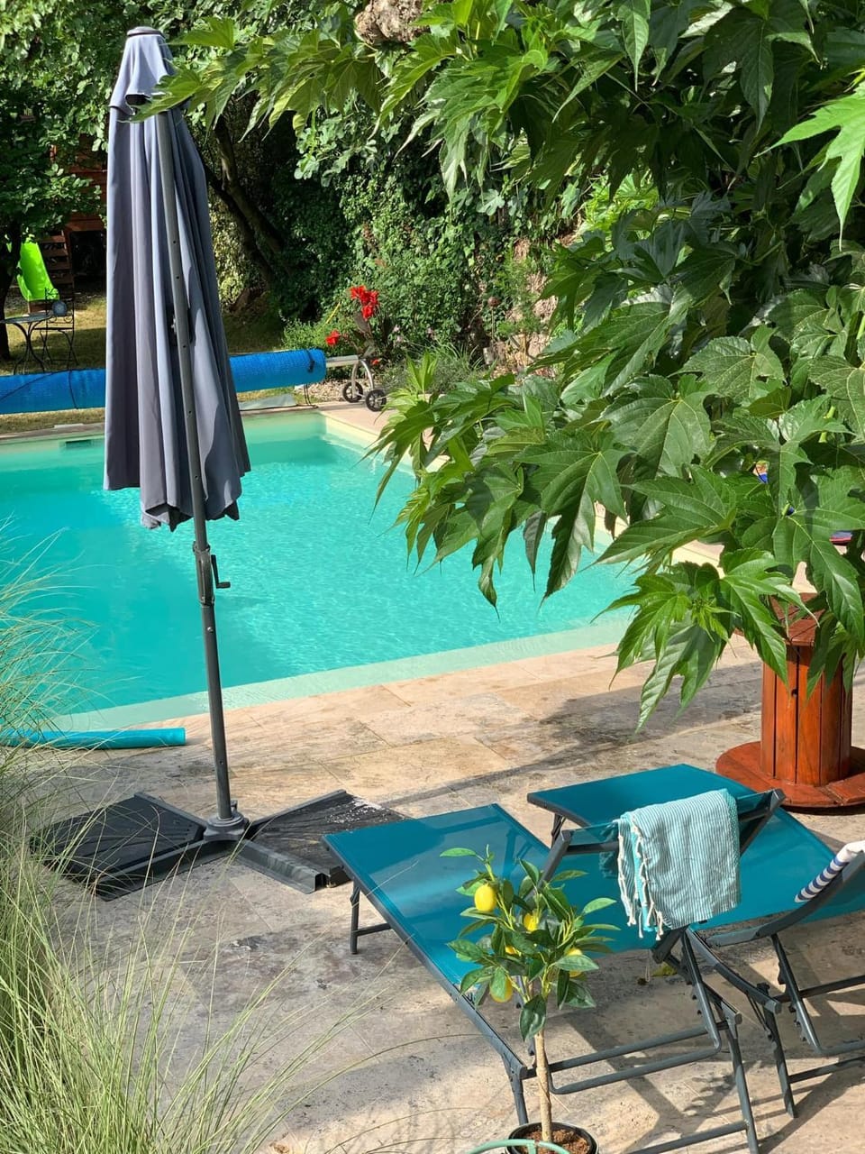 Mas du Camisard House in Occitanie