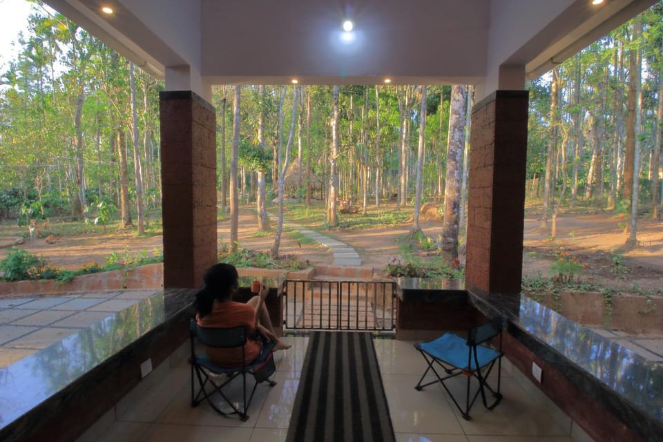 Natural landscape, Garden, Garden view