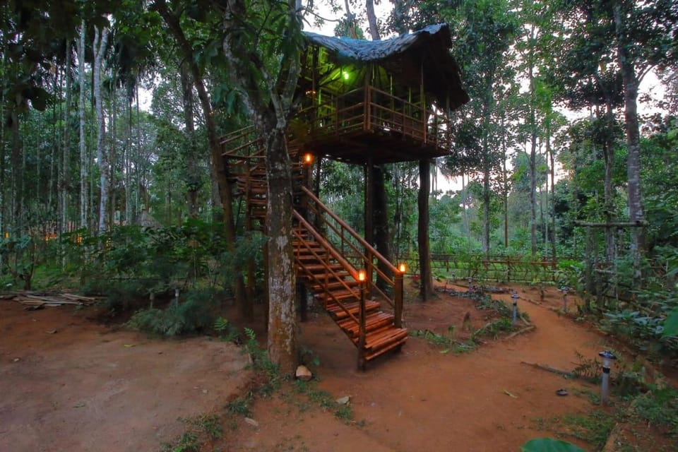 TreeSong Villa - Tranquil Forest Villa in Wayanad Villa in Kerala
