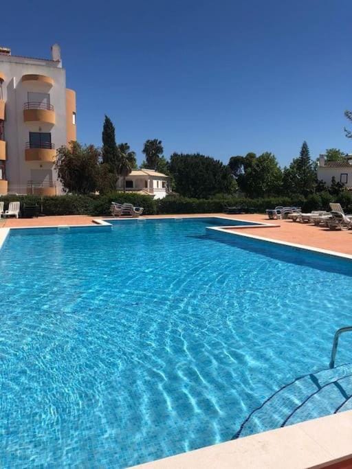 Swimming pool, sunbed