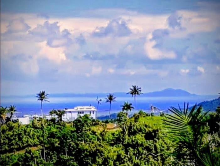 View (from property/room)