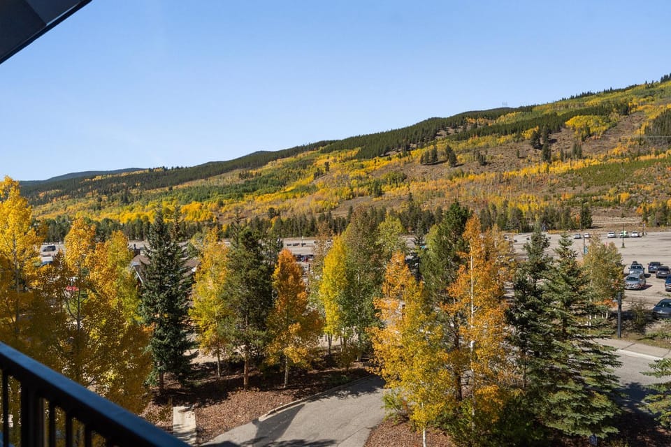 Day, Natural landscape, View (from property/room), Autumn, Mountain view, Parking