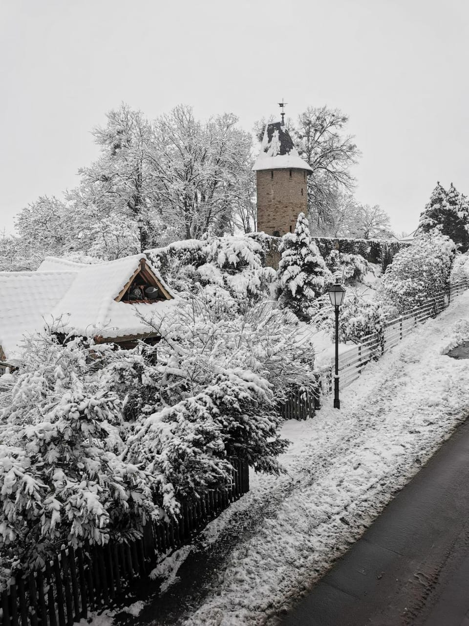 Natural landscape, Winter