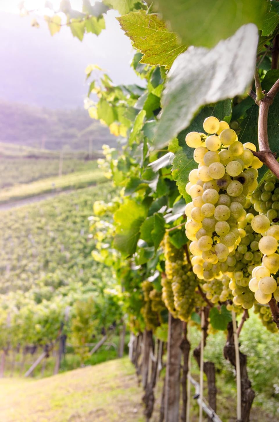 Natural landscape, Autumn