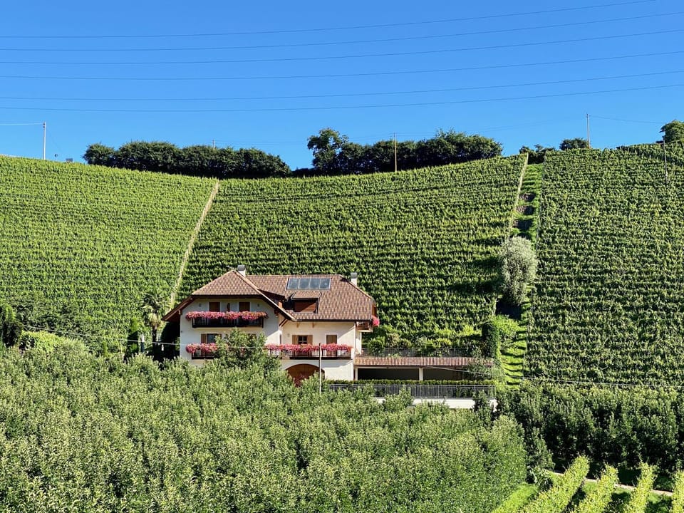 Property building, Natural landscape