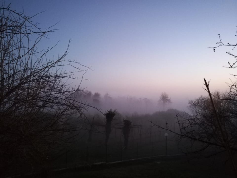 Natural landscape