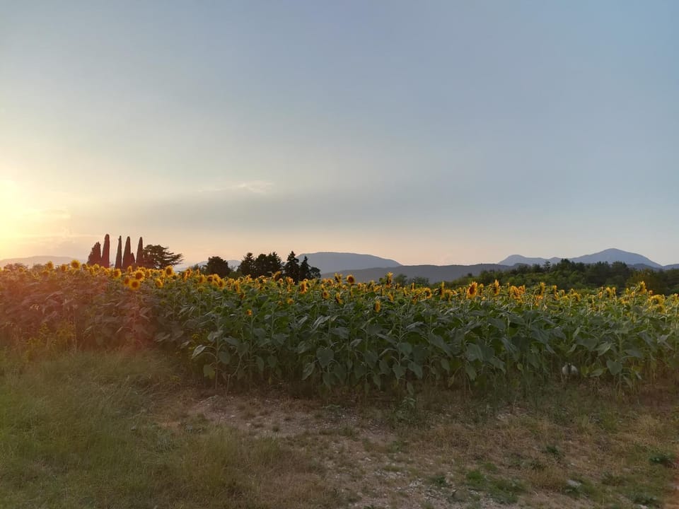 Natural landscape