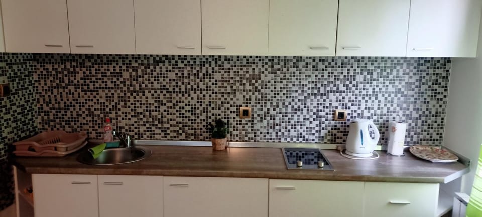 Despot 105 Apartment in Belgrade