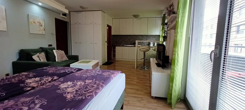 Despot 105 Apartment in Belgrade