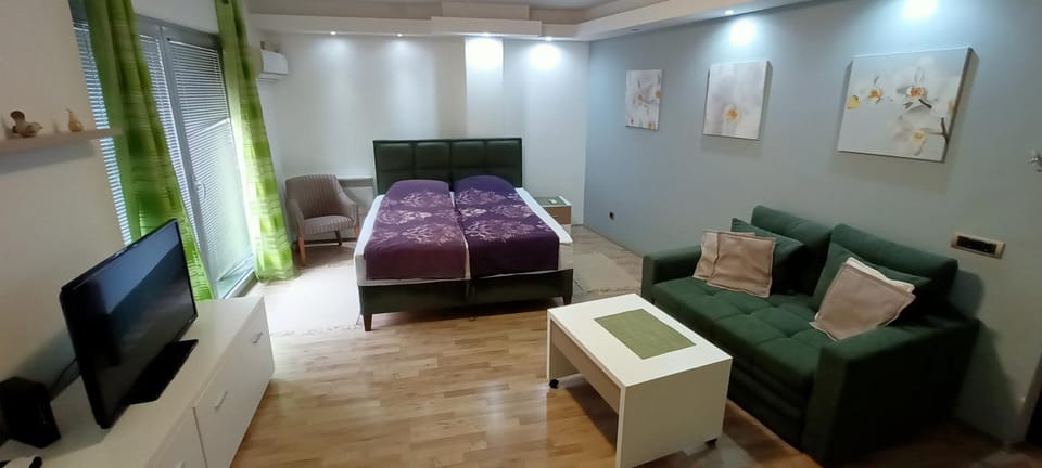 Despot 105 Apartment in Belgrade