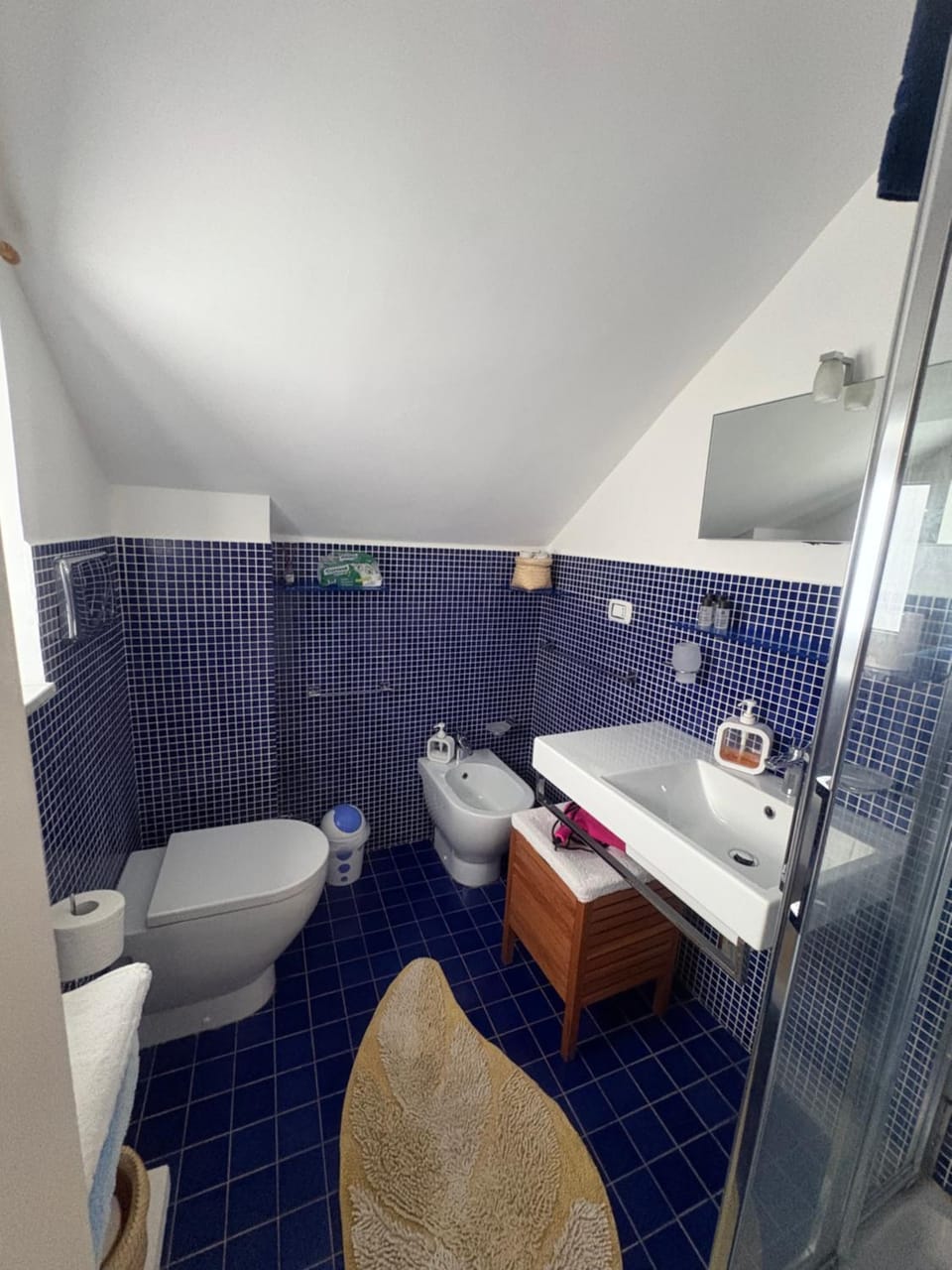 Shower, Toilet, Bathroom, bidet, towels