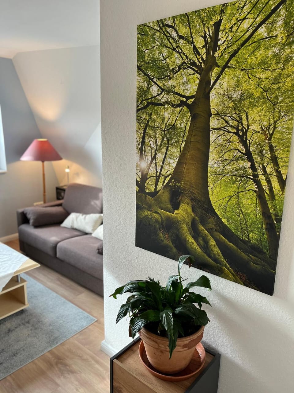 Photo of the whole room