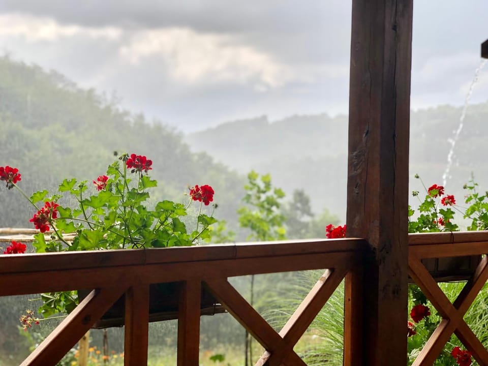Patio, View (from property/room)