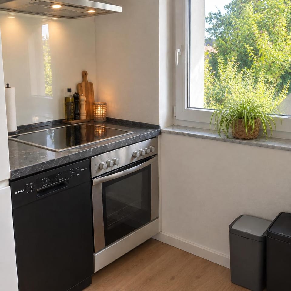 dishwasher, oven, stove, kitchen