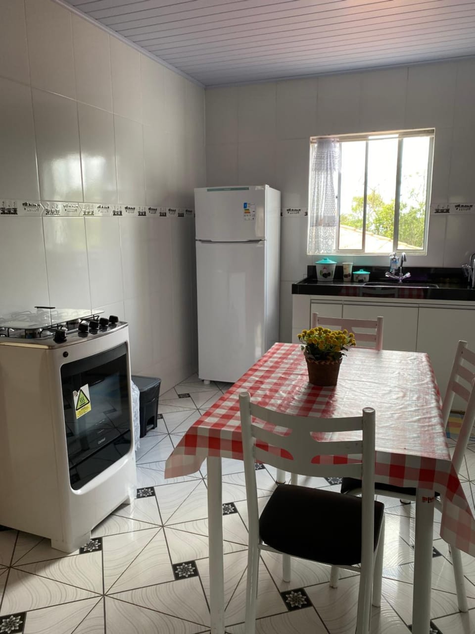 Kitchen or kitchenette, pet friendly