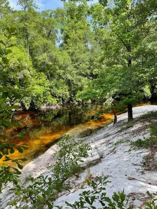 Natural landscape, River view