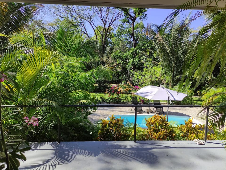 House in the palm forest Vacation rental in Guanacaste Province