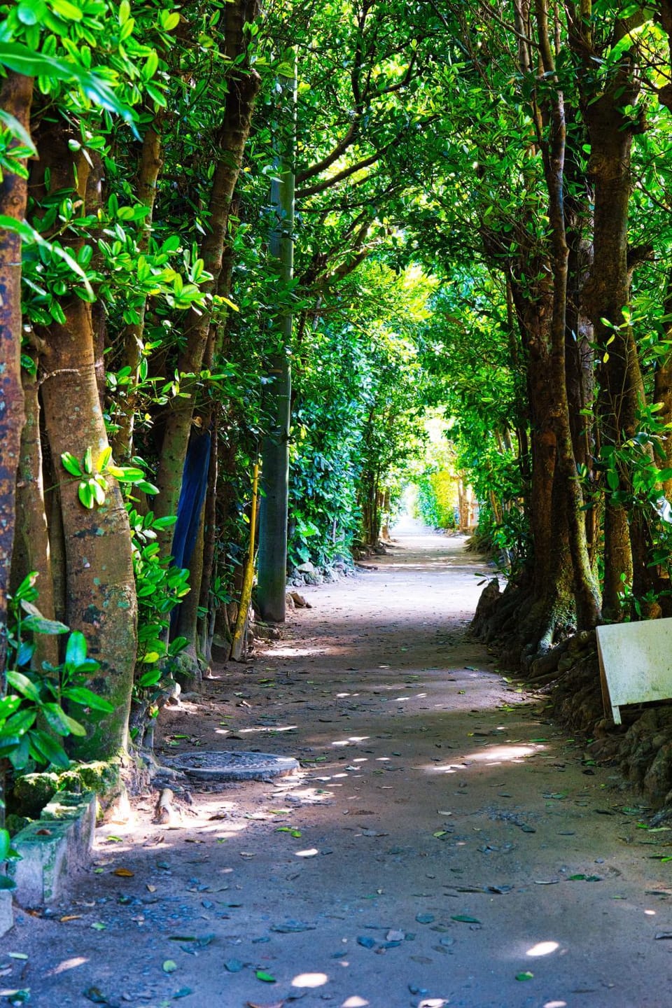 Day, Neighbourhood, Natural landscape