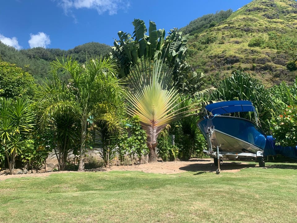 FARE TITAINA House in Moorea-Maiao