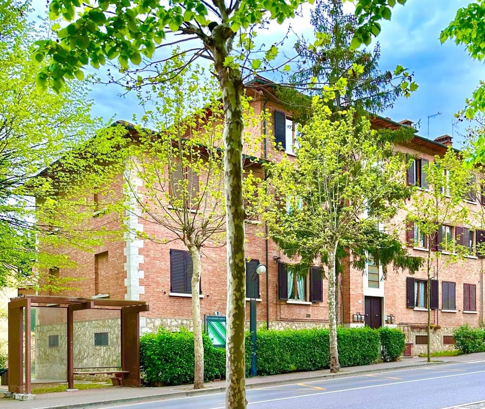 Property building, Neighbourhood, Garden, Street view