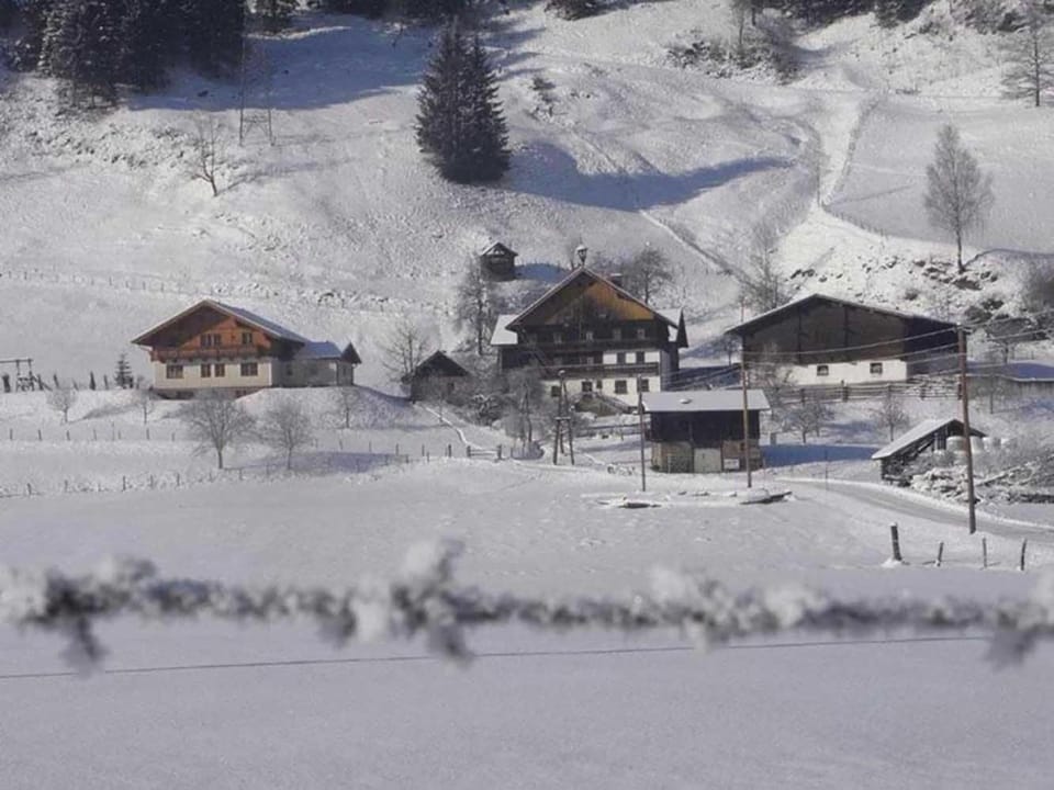 Natural landscape, Winter