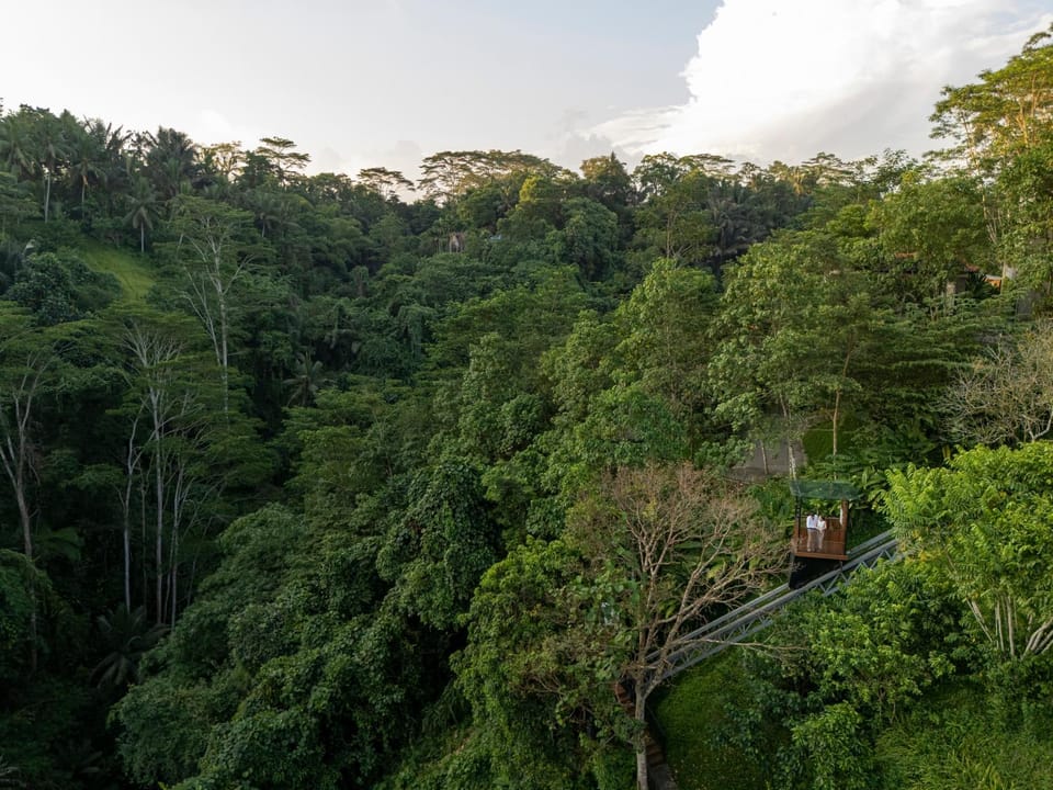 Natural landscape, Bird's eye view, Area and facilities, elevator