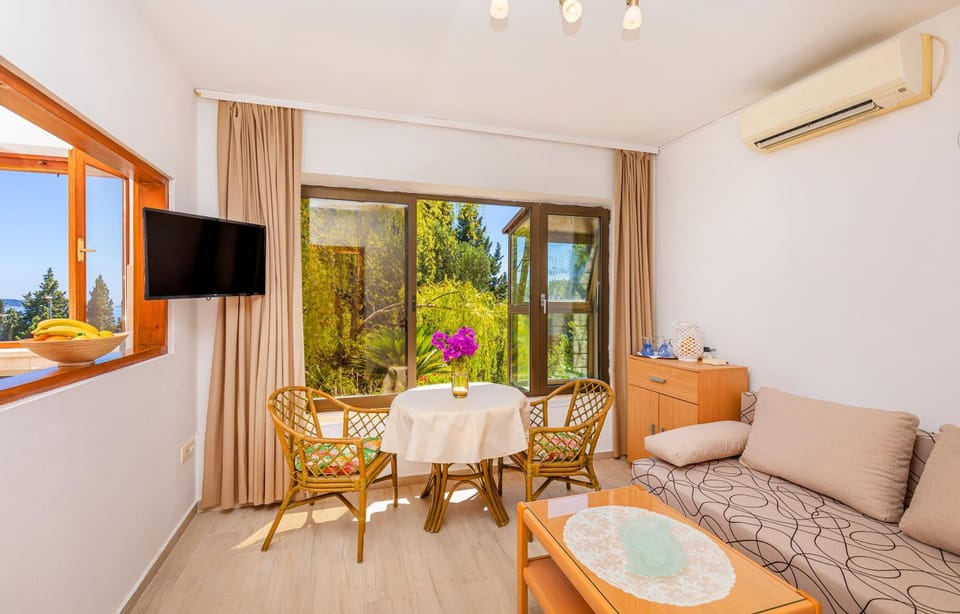 TV and multimedia, Living room, Seating area, air conditioner