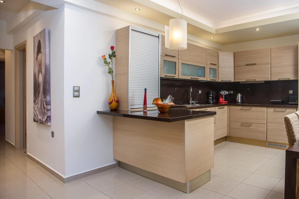Kitchen or kitchenette, dishwasher, minibar, pet friendly, stove