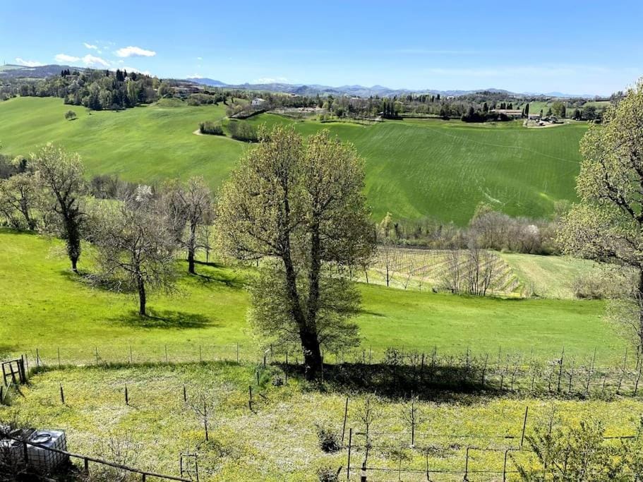Natural landscape