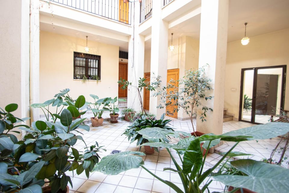 Patio, Spring, Off site, Garden