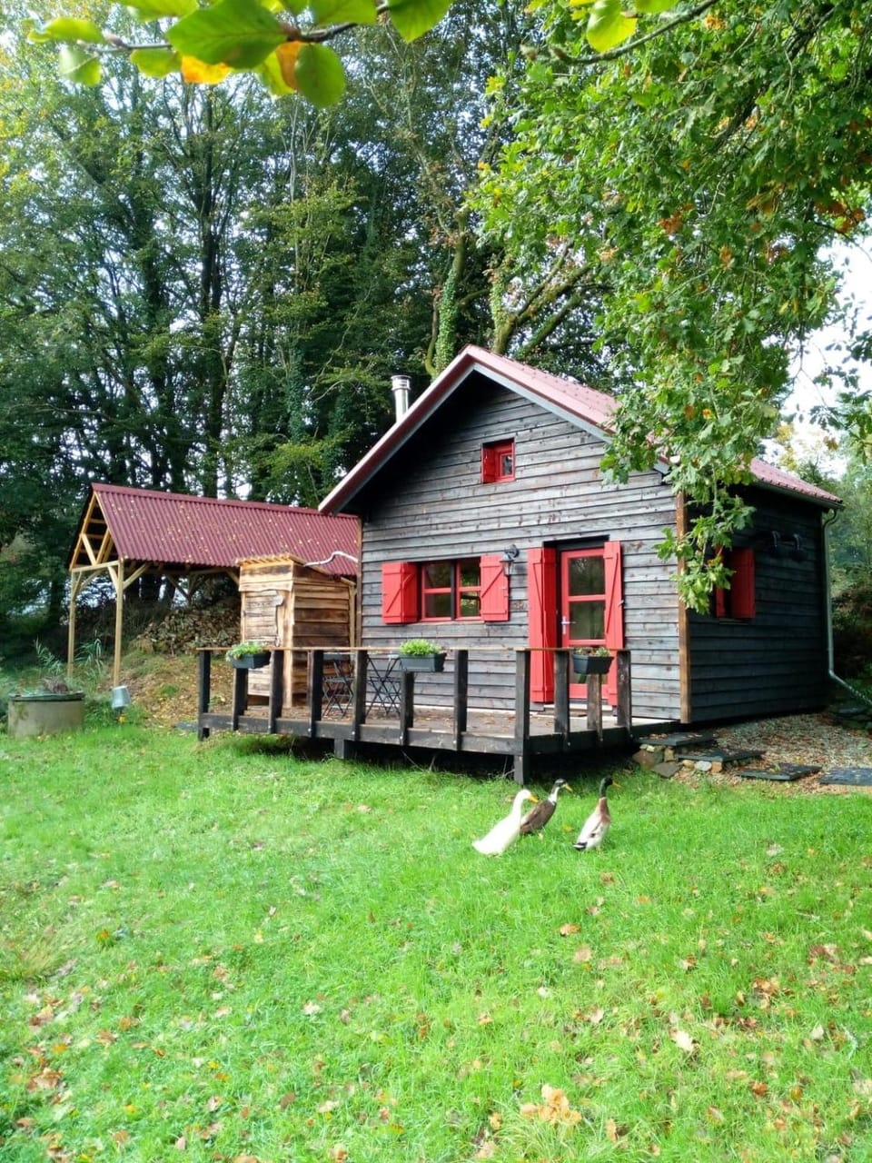 Chalet cosy en lisière de forêt Chalet in Finistere