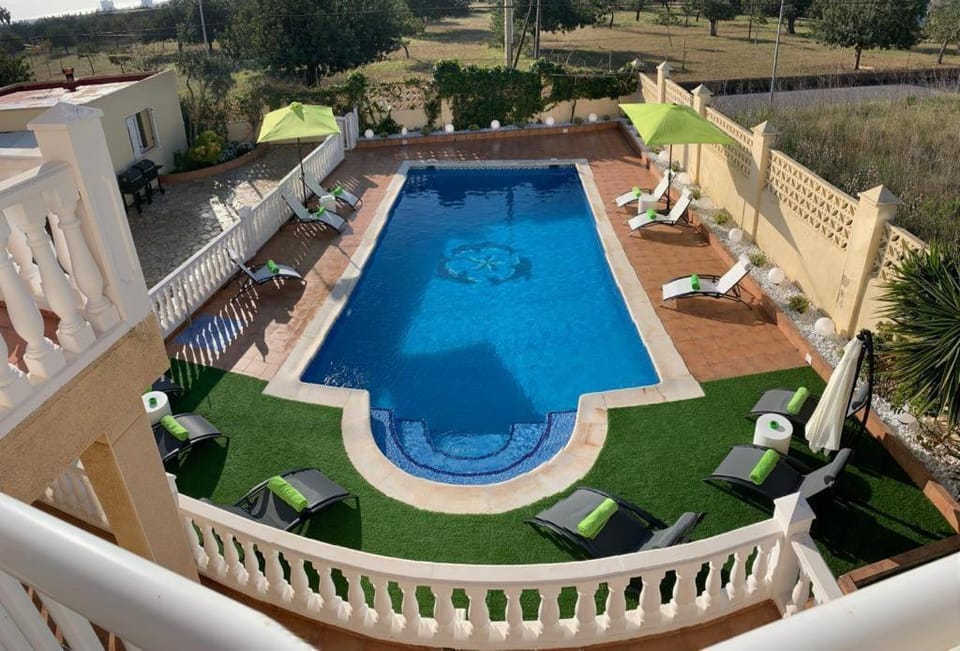 Day, Garden, Swimming pool, sunbed