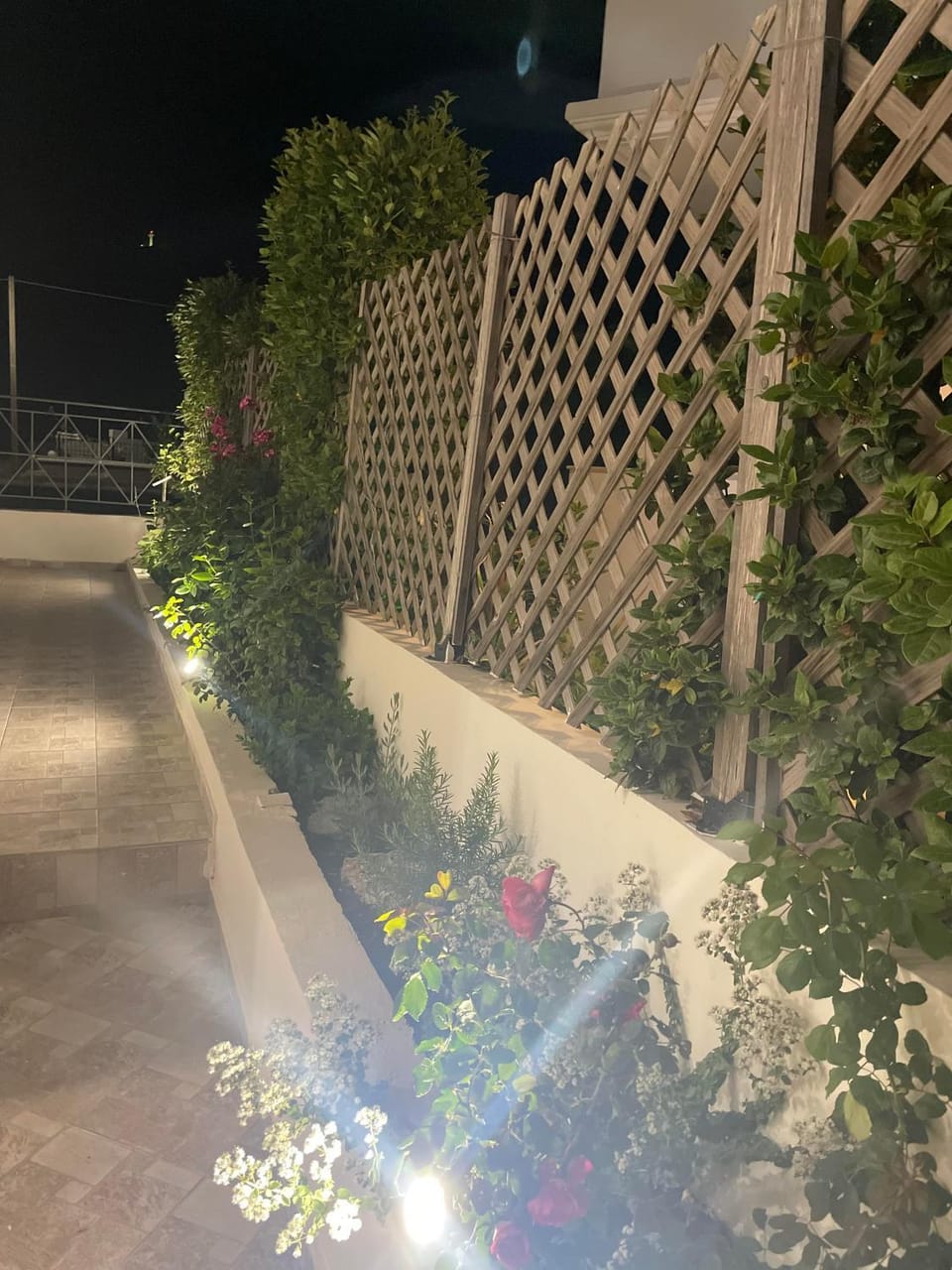 Night, Garden, Garden view