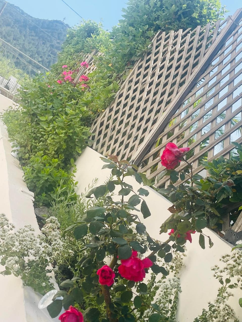 Day, Garden, Garden view, Mountain view