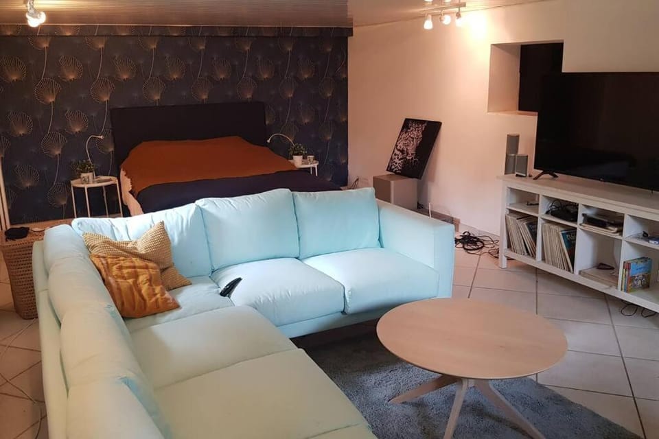 grand Appartement climatisé avec terrasse et parking Apartment in Castelnau-le-Lez