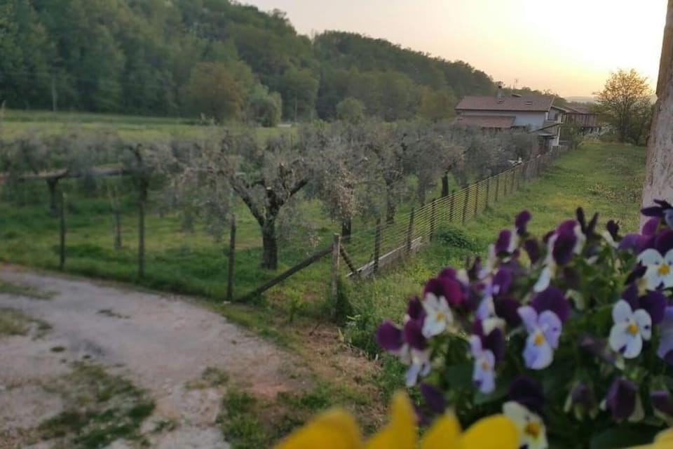 Casa Vacanze Minula - Indipendent Country House House in Abruzzo