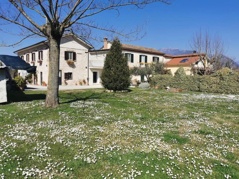 Property building, Spring, Day, Natural landscape, Garden, Garden view